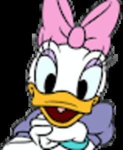 Meet your Posher, Daisy